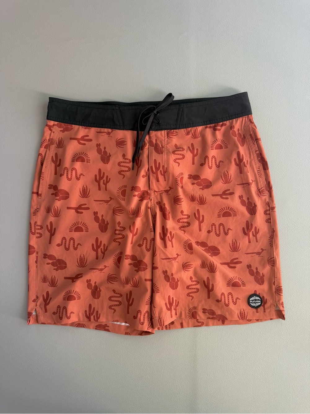 Flylow Men’s Reynolds Shorts Swim Athletic Desert Snake Cactus Design SIZE 34